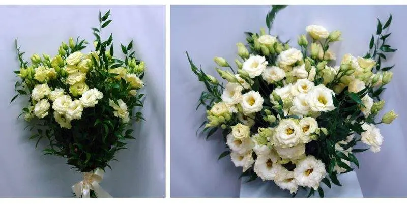 Букет Зивена