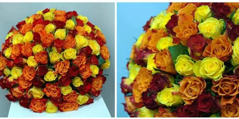 Букет из разноцветной розы кения 11 штук, фронтальный вид, на столе